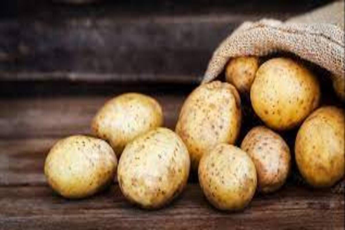وصفة البطاطا بالبشاميل