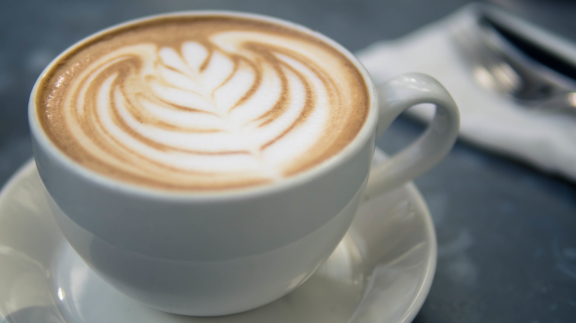 طريقة تحضير قهوة الكورتادو|الفرق بين قهوة الكورتادو والوايت لايت